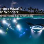 Nighttime Manta Ray Snorkeling